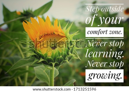 Inspirational motivational quote - Step outside of your comfort zone. Never stop learning. Never stop growing. With sunflower blossom and  growth on a green background as a life process illustration.