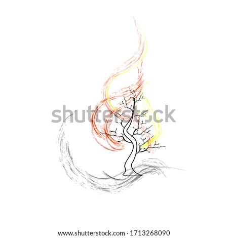 a tree is on fire. environmental picture. take care of the forest. vector illustration on a white. protecting the world