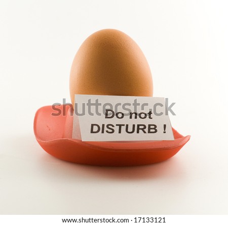 Egg with signboard "Do not disturb!" on white background.