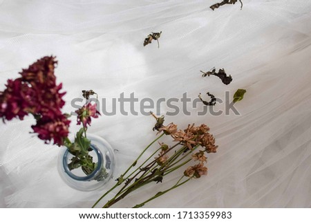 Top view of a dried purpple flowers on a glass vase laid on a white tulle fabric. Dried leaves scattered around the flower vase.