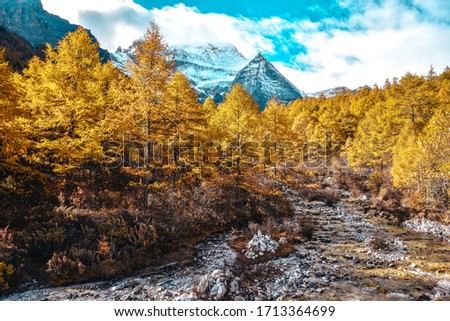 Autumn Yading is a national level reserve in Daocheng, in the southwest of Sichuan Province, China. It is a mountain sanctuary and major Tibetan pilgrimage site comprising three peaks (Public place)