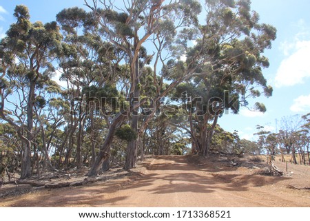 Rural scenes, Kangaroo Island, South Australia.