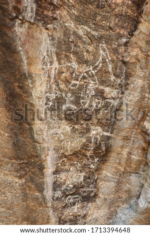 ancient drawing on the cave wall