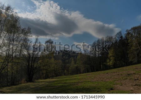 Meadows near Krkonose mountains in spring nice day in north Bohemia