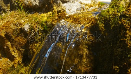 Waterfall on the rock. Moss, grass.