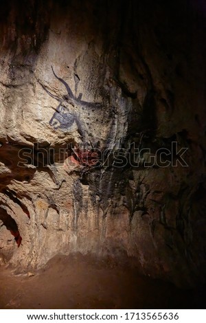 Picture in Bolii Cave (The cave of disease ) near Petrosani (Pestera bolii)