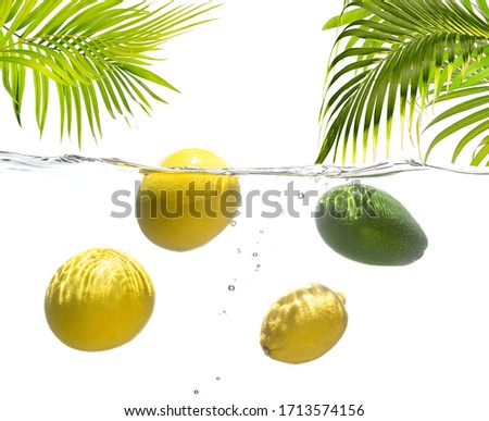 Lemon, avocado and white grapefruit float in the water