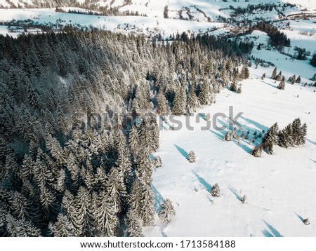 Aerial view of a winter snow-covered fir tree forest. Drone view of a winter mountain landscape on a sunny day, Carpathian mountains.
