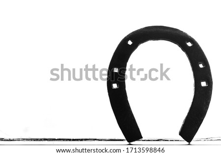 Horseshoe, good luck symbol and horses protection
