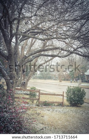Toned photo heavy snowfall over residential street in Coppell, Texas, America. Quite neighborhood street with typical one story bungalow houses, sidewalk pathway and mature tree at front yard