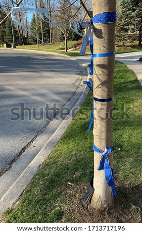 Blue ribbons tied around a tree in a residential neighborhood to show support for frontline workers during the covid-19 pandemic.