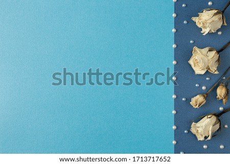 White flowers with pearls on blue paper background. Template for banner, booklet or greeting card. Top view with copy space for text