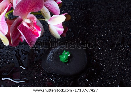 Pink Orchid on a black background. Floral design.