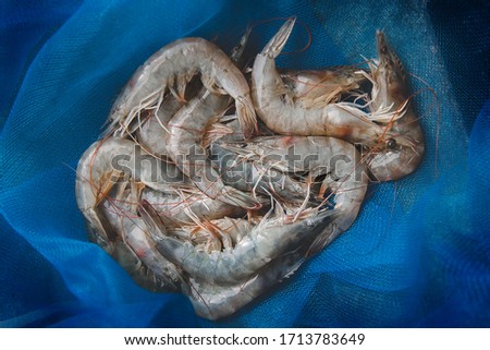 Fresh shrimps group in fishery seine with outdoor low lighting.