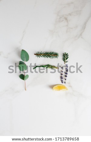 Minimal background with eucalyptus, lavender, lemon, green tree, fir at white background. Top view, flat lay, copy space for text. Concept of stylish minimal picture for greeting card