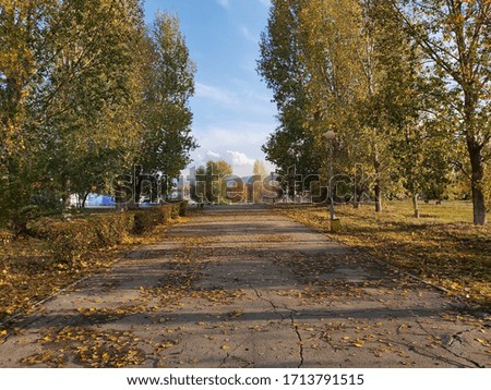 Golden autumn, Togliatty city, Russia 