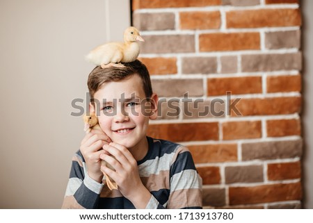 Handsome cute boy playing with little ducks inside stylish decorated house. Tender pictures of a child with ducklings on a brick wall background