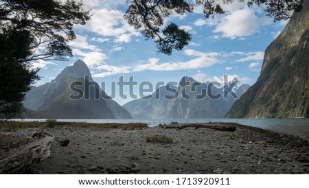 Fjord landscape framed by tree branches during the sunny day. Photo taken in Milford Sound, Fiordland National Park, New Zealand