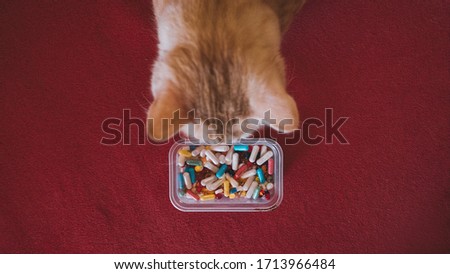 Cat and many pills on a red background. Pets, Cats infected with the coronavirus Royalty-Free Stock Photo #1713966484