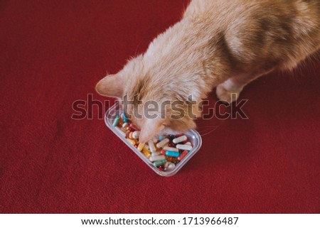 Cat and many pills on a red background. Pets, Cats infected with the coronavirus Royalty-Free Stock Photo #1713966487