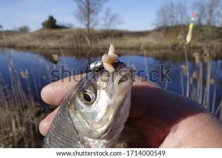 Fishing on a river in spring, fishing on a float