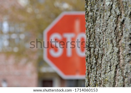Blurred stop sign behind oak tree.