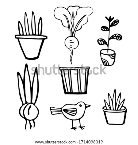 Vector image isolated on a white background. In doodle style. Seth garden. Bulbous plants, flowers and herbs in pots, birds and radishes. For coloring books, stickers, decoration of garden plots.