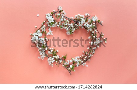 on a coral background, a heart symbol made from flowering branches of cherry with white flowers 