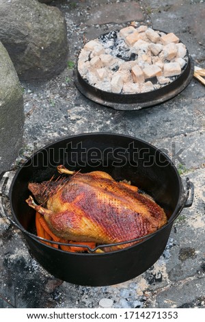 stuffed duck with golden brown and crispy skin roasted in the dutch oven as outdoor cooking concept