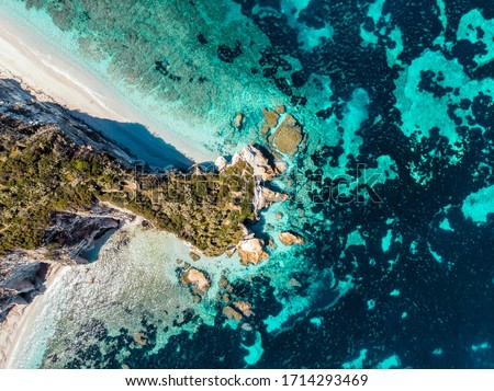 capo bianco beach in elba island Royalty-Free Stock Photo #1714293469
