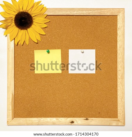 This is a picture of a cork board and an ivy.