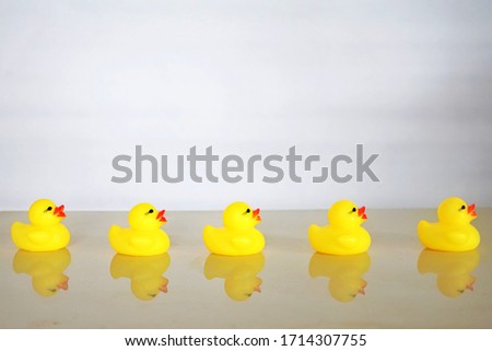 Yellow ducks were tailing the front duck. Selectively focused on grey white background 