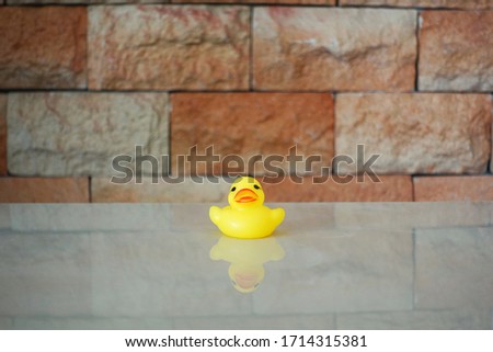 DUCK toy conceptual photo to show happy family concept versus loneliness . 
