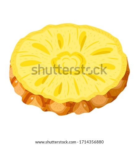 Fresh cut slice ring pineapple fruit isolated on white background. Summer fruits for healthy lifestyle. Organic fruit. Cartoon style. Vector illustration for any design.