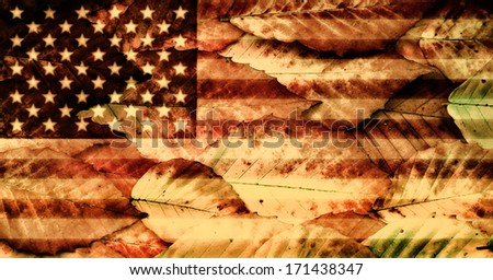 Flag of the United States of America overlayed on top of genuine American Beech Leaves (Fagus grandifolia), a tree species unique to North America. 
