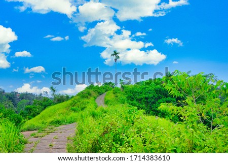 The famous Campuhan Ridge Walk, Natural Green Valley in Ubud, Bali, Indonesia.