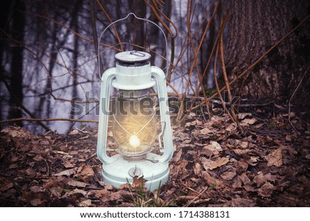 Kerosene lamp with a flame standing on dry fallen leaves against the background of a tree and a reservoir