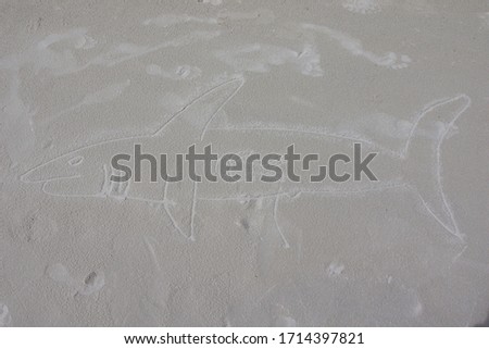 Shark picture with man in the stomach on the beach, Queensland, Australia