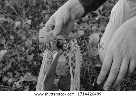 Black and white retro photo of hands holding a mushroom in forest 