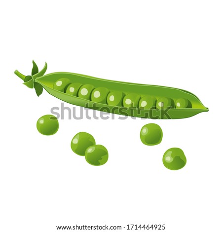 Green pea. The end of the pod of green peas. Vector image. Isolate on a white background. Element for packaging design. Royalty-Free Stock Photo #1714464925