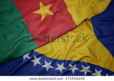 waving colorful flag of bosnia and herzegovina and national flag of cameroon. macro