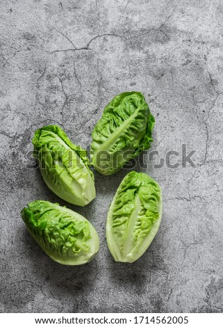 Mini romaine salad on a grey background, top view. Food salad ingredient.Copy space