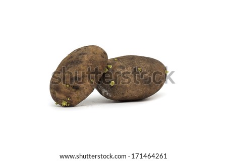 Potatoes on a white background. 