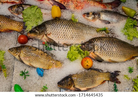 frozen fish on ice in refrigerator product shop counter background concept picture 