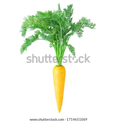yellow carrot with tops isolated on a white background Royalty-Free Stock Photo #1714651069