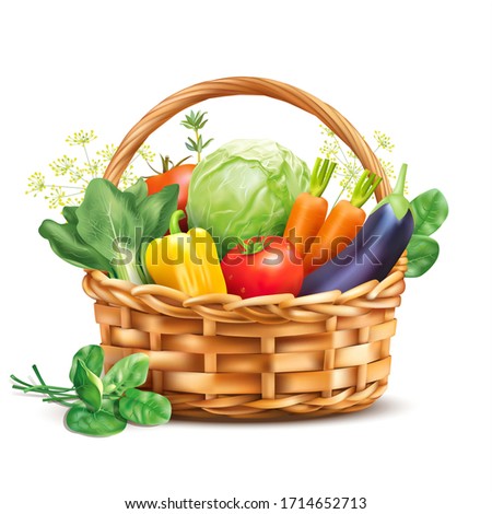 Basket with vegetables and herbs isolated on white. Vector illustration. Royalty-Free Stock Photo #1714652713