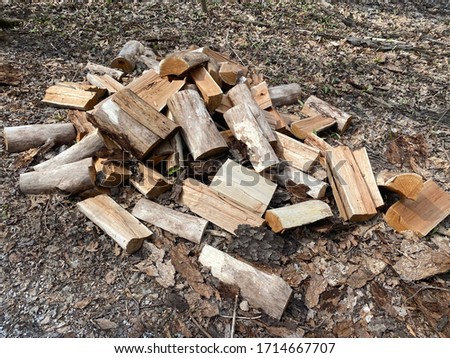 Wood that has been chopped and is ready for use in a fire or stove. This picture was taken in a local forest in Concord Township, Ohio.