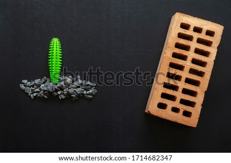 Red brick and little cactus in gravel. Single brick on black and green rubber cactus in a heap of rubble. Comic concept. Flat lay.