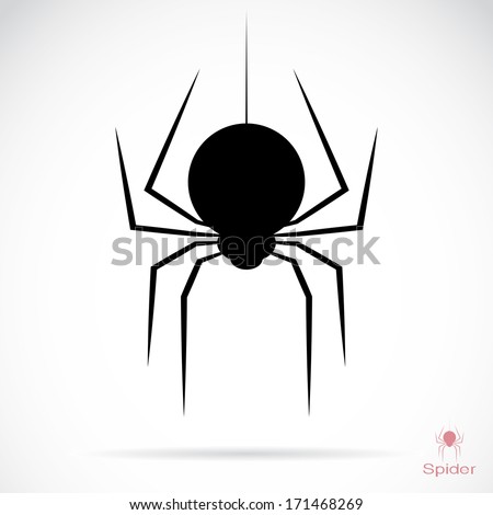 Vector image of an spider on white background