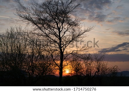 Romantic sunrise, sunset in the country - orange sky, trees and branches as shadows, in the background the Hesselberg